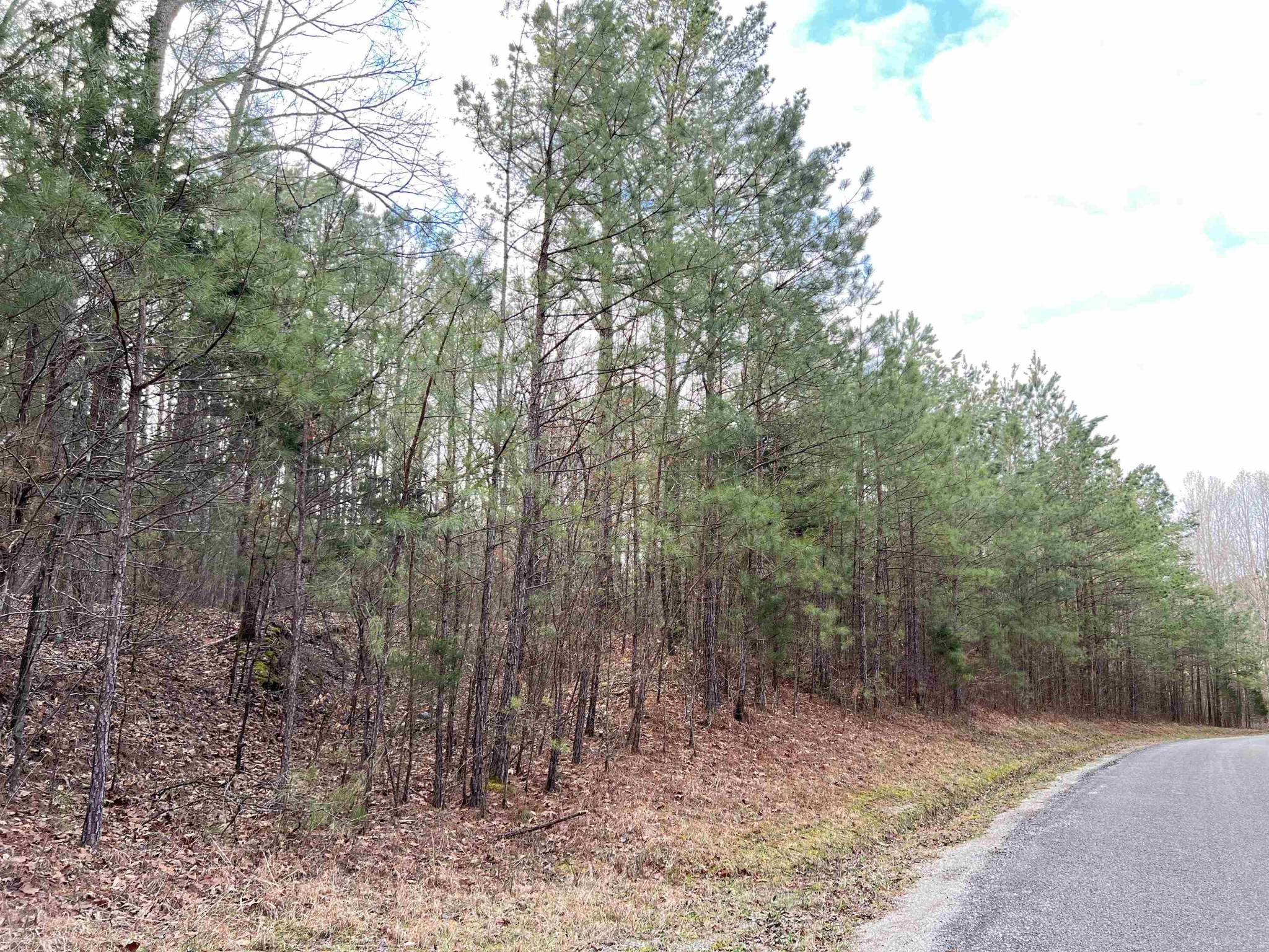 Homes for sale in Reagan, TN | 0 Old Lula Rd, Reagan, TN 38368 | MLS# 3081318