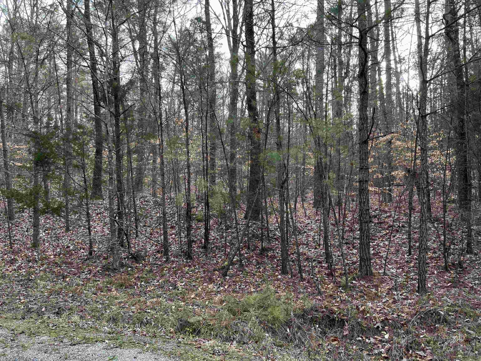 Homes for sale in Reagan, TN | 0 Old Lula Rd, Reagan, TN 38368 | MLS# 3081318