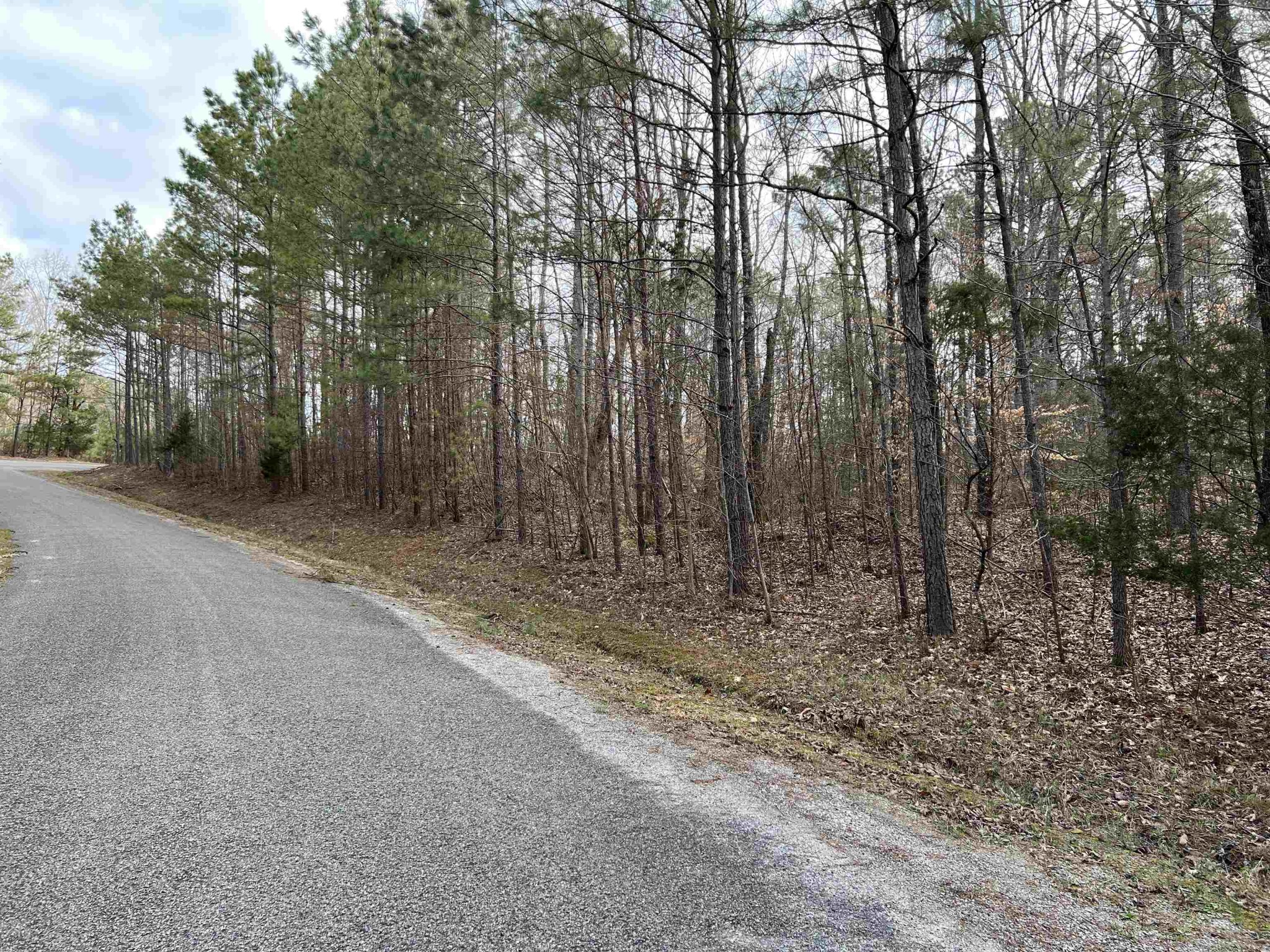 Homes for sale in Reagan, TN | 0 Old Lula Rd, Reagan, TN 38368 | MLS# 3081318