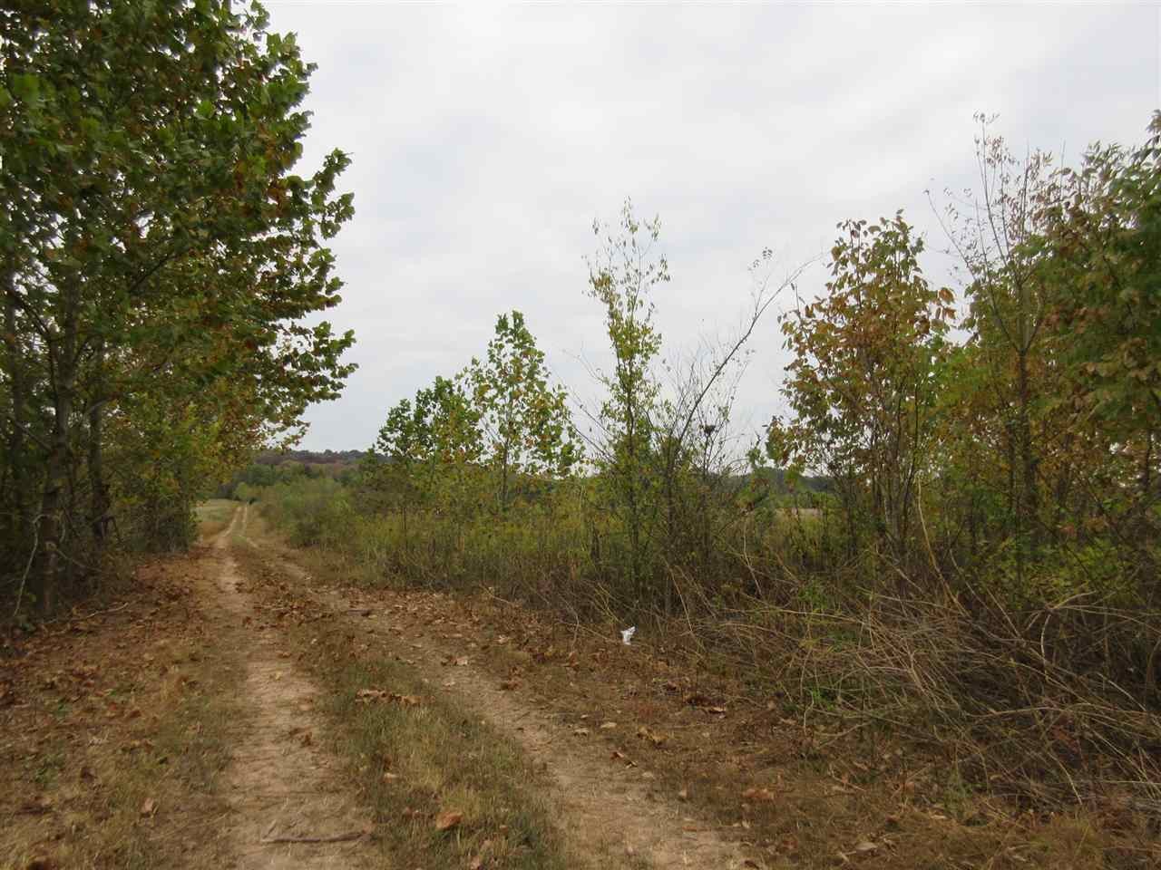 Homes for sale in Clifton, TN | 0 Colonel James Hardin Dr, Clifton, TN 38425 | MLS# 3083478