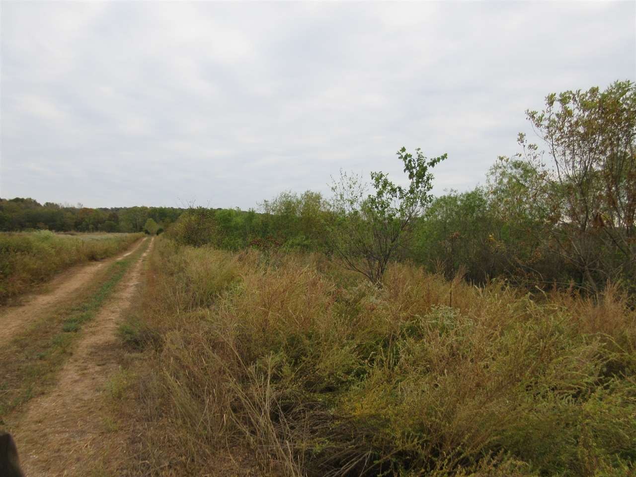 Homes for sale in Clifton, TN | 0 Colonel James Hardin Dr, Clifton, TN 38425 | MLS# 3083478