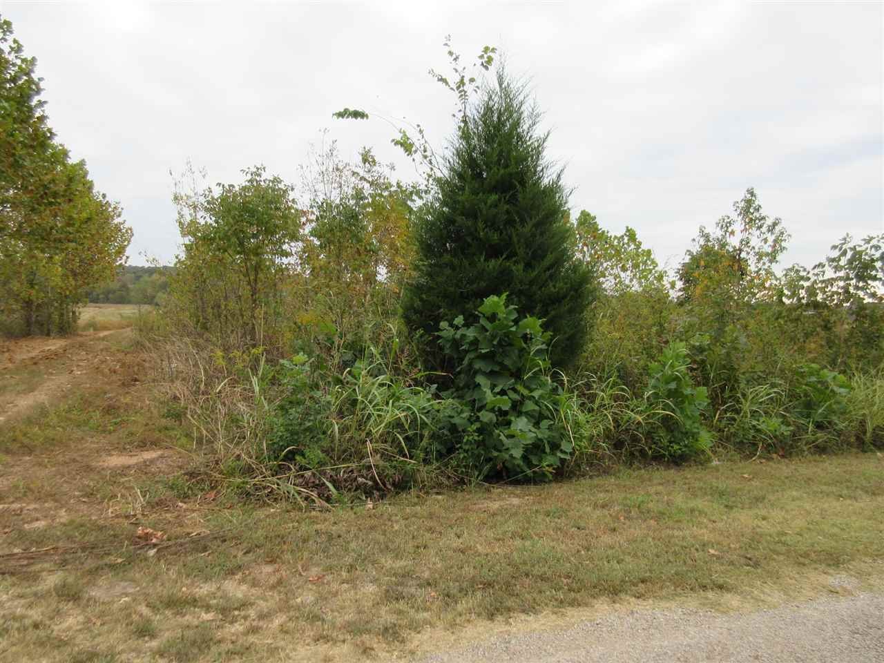 Homes for sale in Clifton, TN | 0 Colonel James Hardin Dr, Clifton, TN 38425 | MLS# 3083478