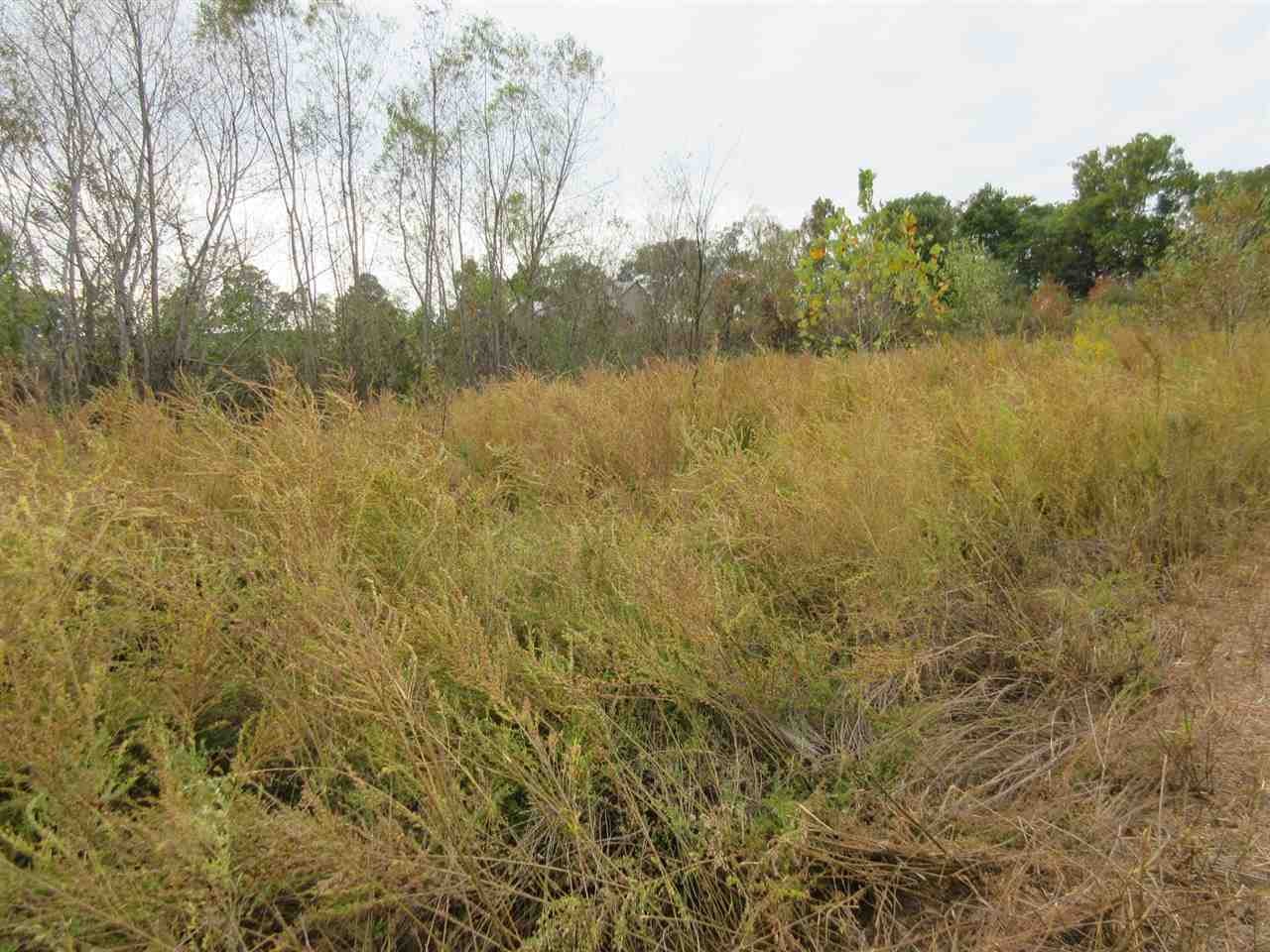 Homes for sale in Clifton, TN | 0 Colonel James Hardin Dr, Clifton, TN 38425 | MLS# 3083478