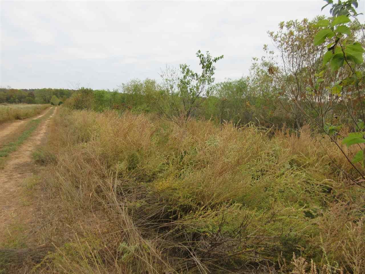 Homes for sale in Clifton, TN | 0 Colonel James Hardin Dr, Clifton, TN 38425 | MLS# 3083478