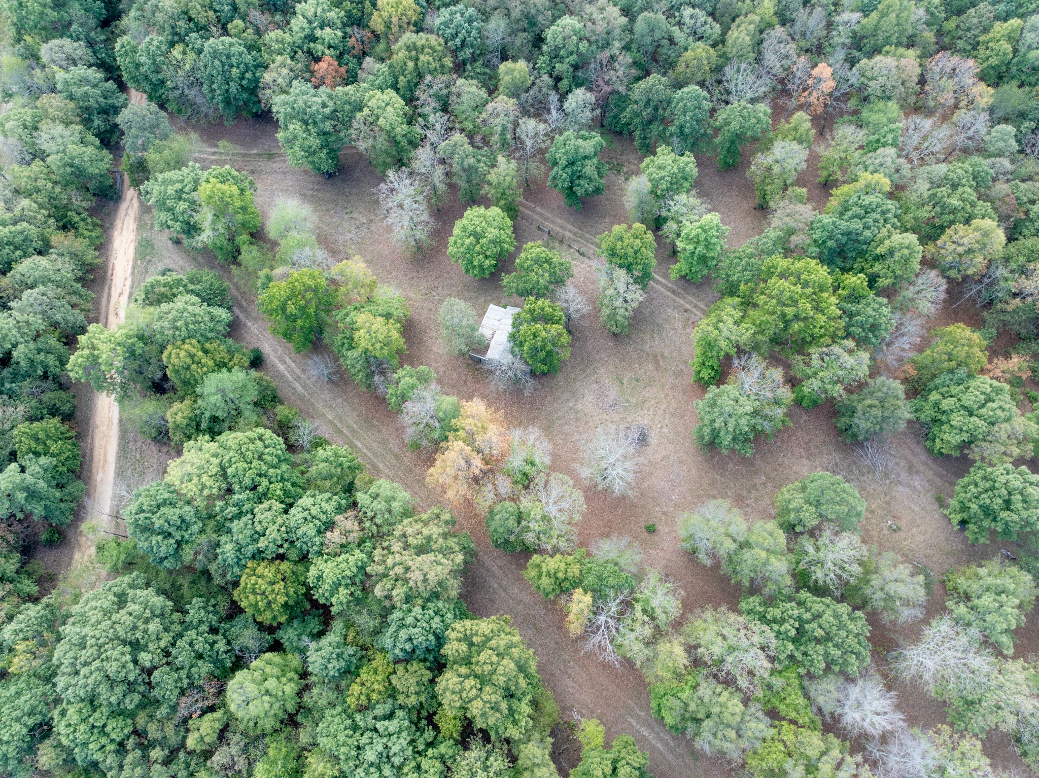 Homes for sale in Mc Ewen, TN | 5500 Old Nashville Hwy, Mc Ewen, TN 37101 | MLS# 3030406