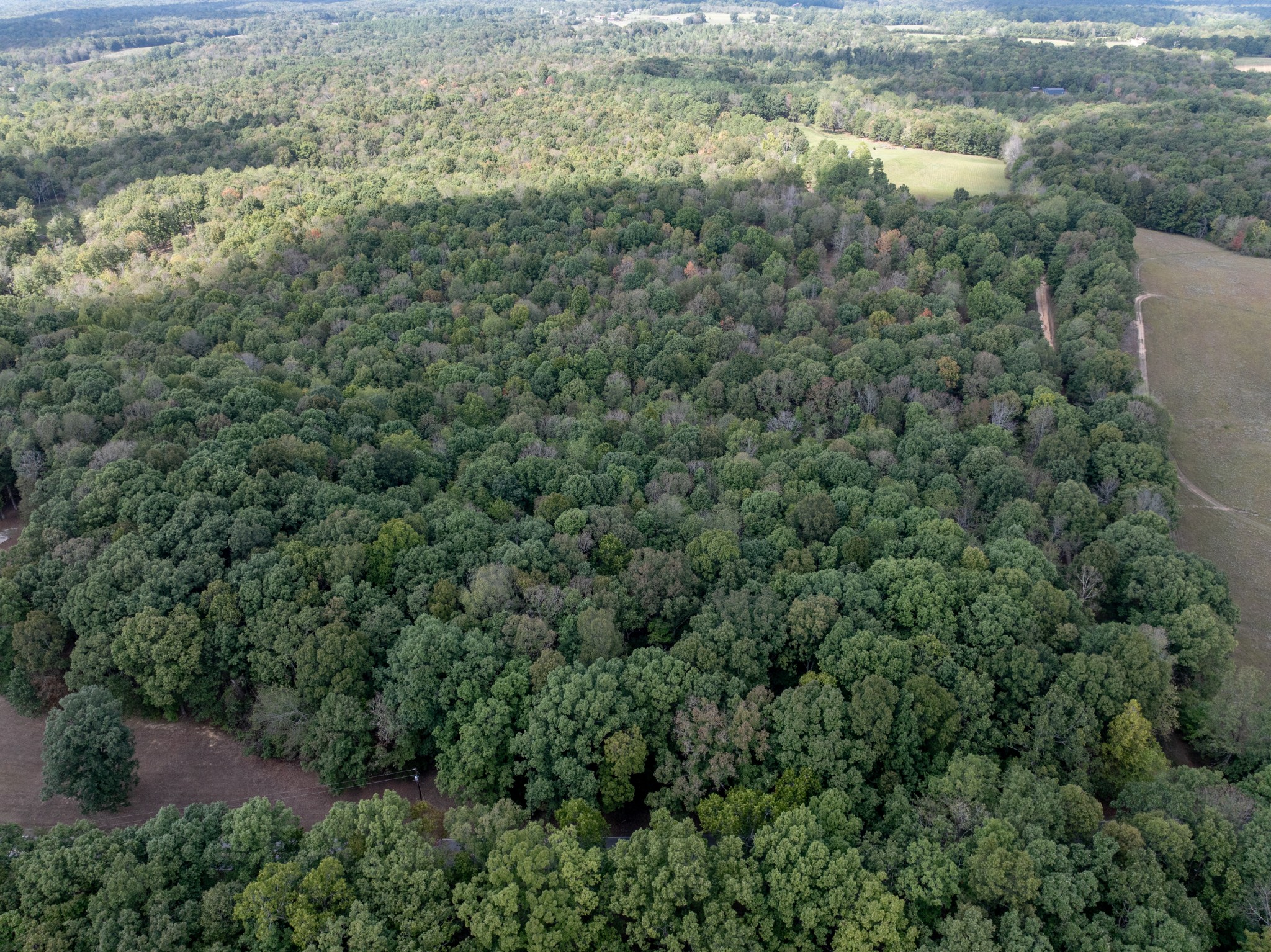 Homes for sale in Mc Ewen, TN | 5500 Old Nashville Hwy, Mc Ewen, TN 37101 | MLS# 3030406