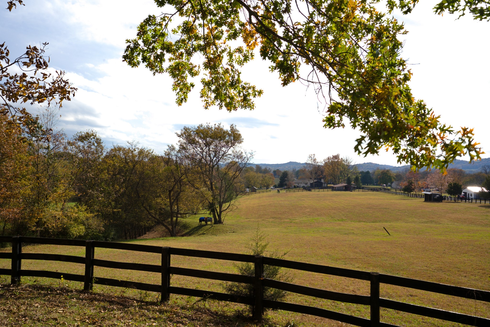 Homes for sale in Franklin, TN | 1496 Coleman Rd, Franklin, TN 37064 | MLS# 3030966