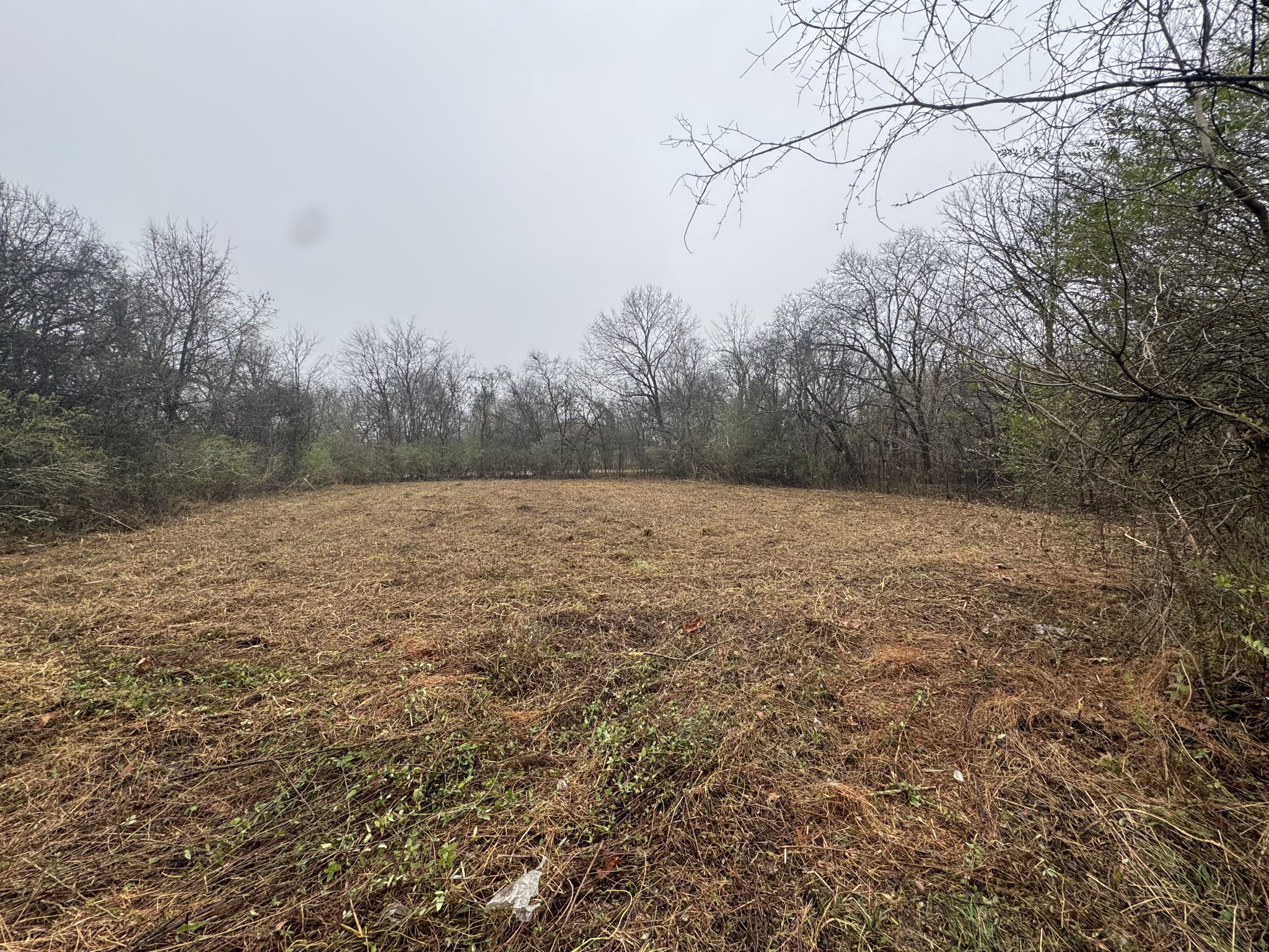 Homes for sale in Petersburg, TN | 0 Hwy 130 W, Petersburg, TN 37144 | MLS# 3032014