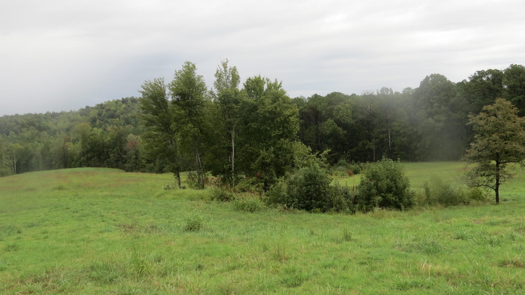 Homes for sale in Decaturville, TN | 562 Roach Rd, Decaturville, TN 38329 | MLS# 3038457