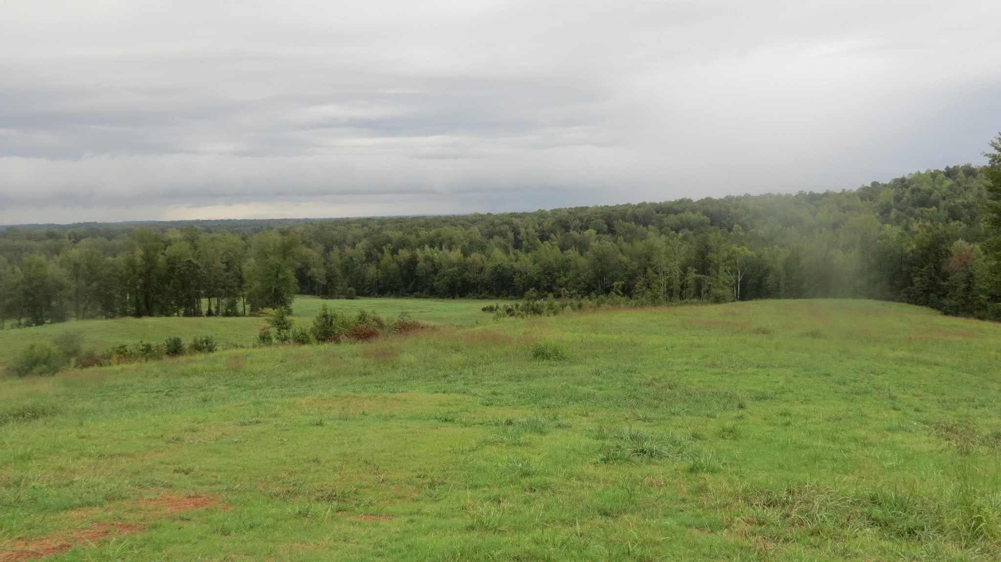 Homes for sale in Decaturville, TN | 562 Roach Rd, Decaturville, TN 38329 | MLS# 3038457