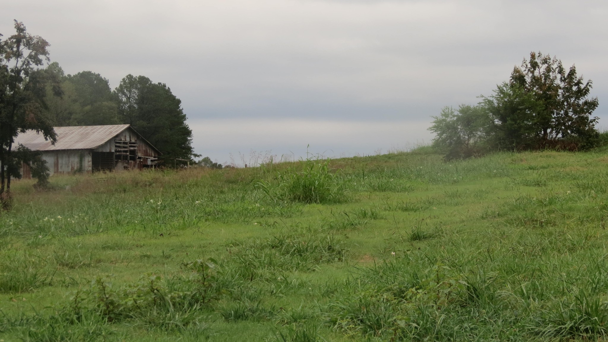 Homes for sale in Decaturville, TN | 562 Roach Rd, Decaturville, TN 38329 | MLS# 3038457