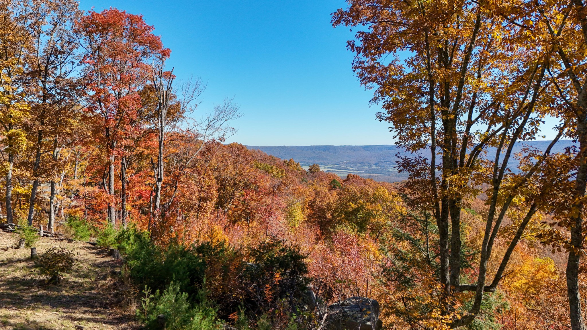 Homes for sale in Pikeville, TN | 400 Maple Trail, Pikeville, TN 37367 | MLS# 3035936