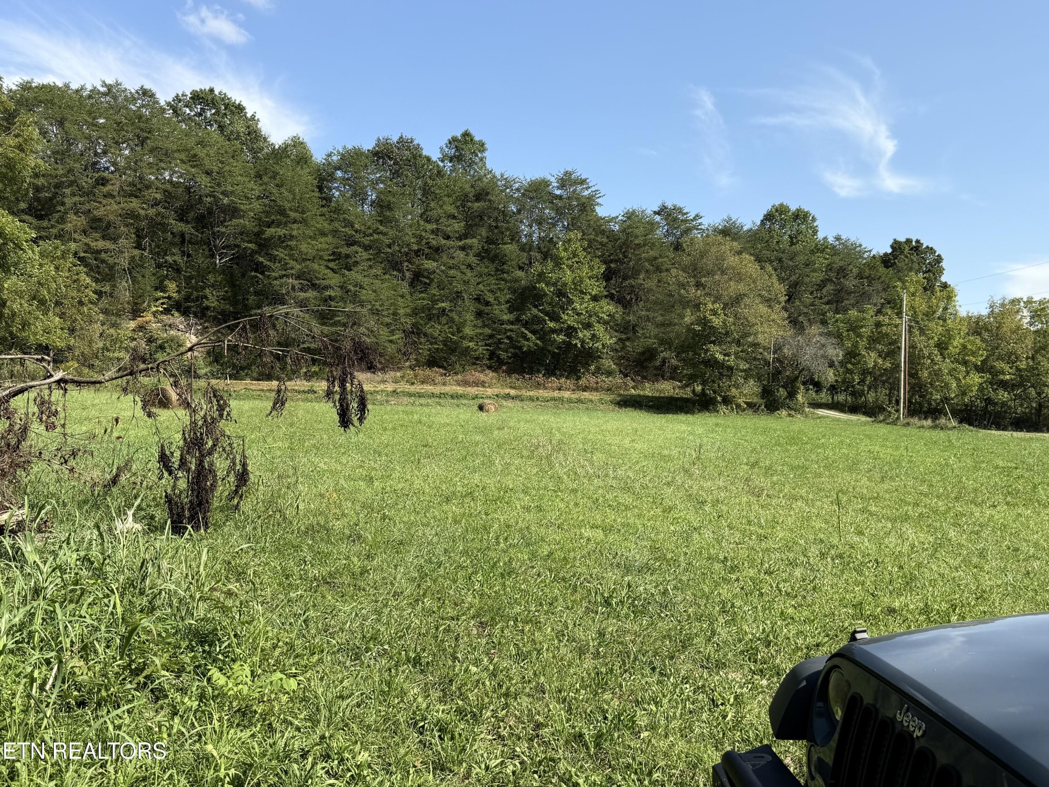 Homes for sale in Sneedville, TN | 186 Drinnon Lane, Sneedville, TN 37869 | MLS# 3306011