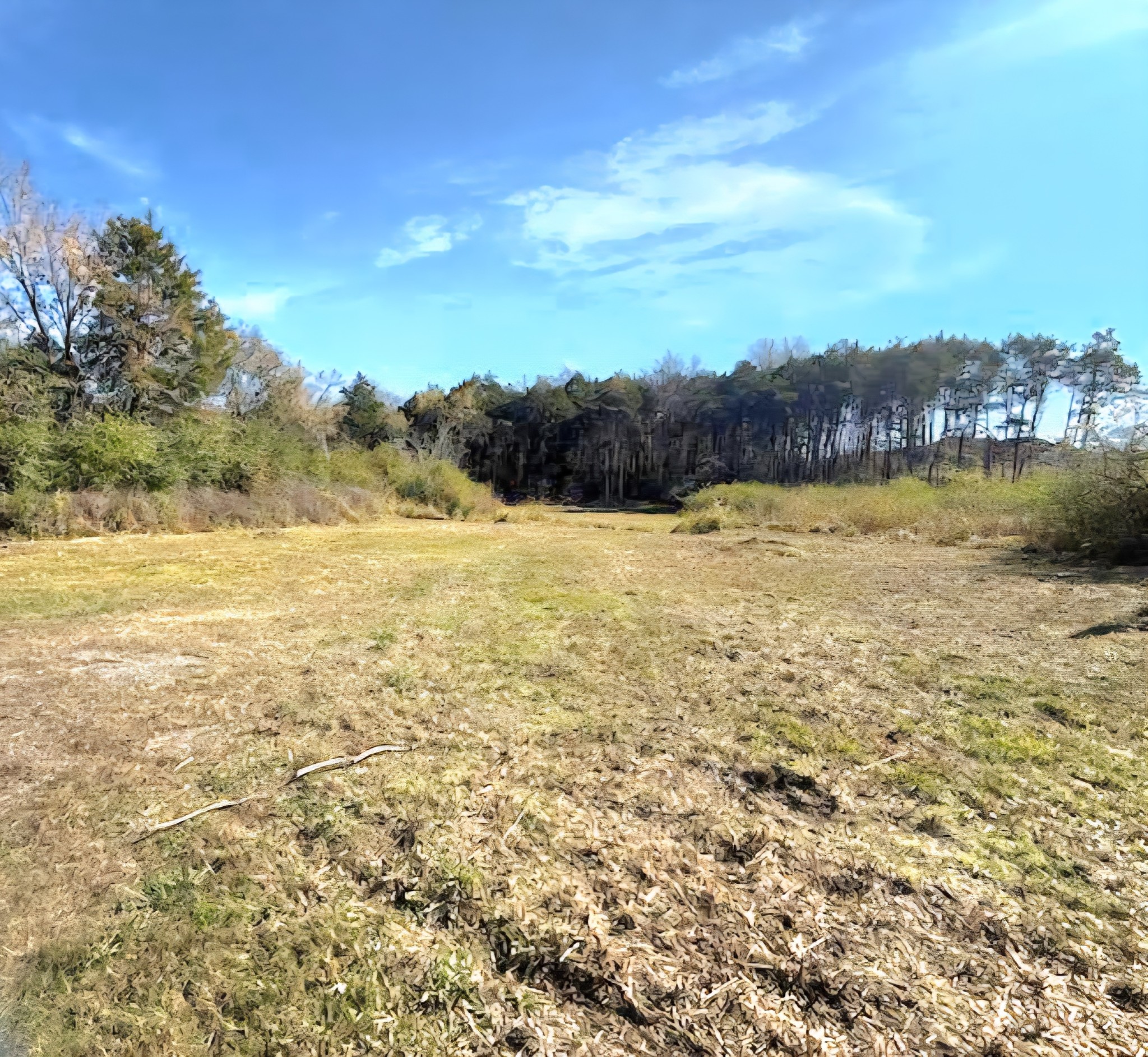 Homes for sale in Mount Juliet, TN | 24 Spring Valley Dr, Mount Juliet, TN 37122 | MLS# 3039031