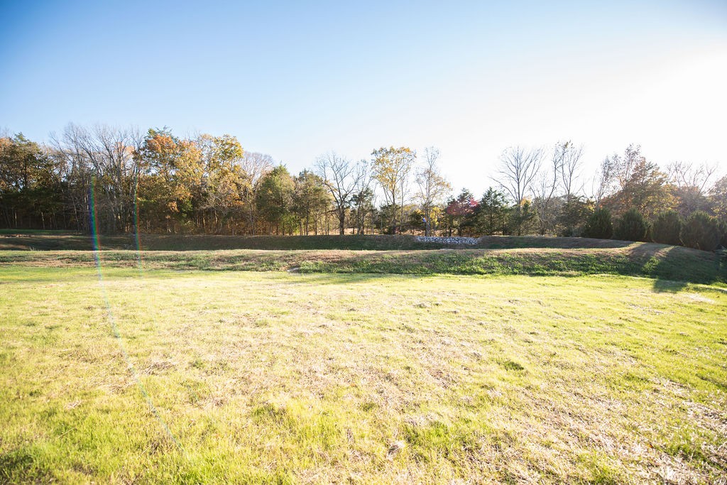 Homes for sale in Mount Juliet, TN | 862 Harrisburg Ln, Mount Juliet, TN 37122 | MLS# 3042201