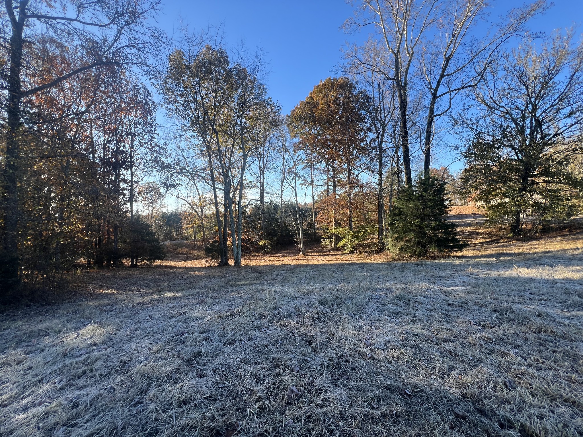 Homes for sale in Minor Hill, TN | 0 Liberty Hill Road, Minor Hill, TN 38473 | MLS# 3043513