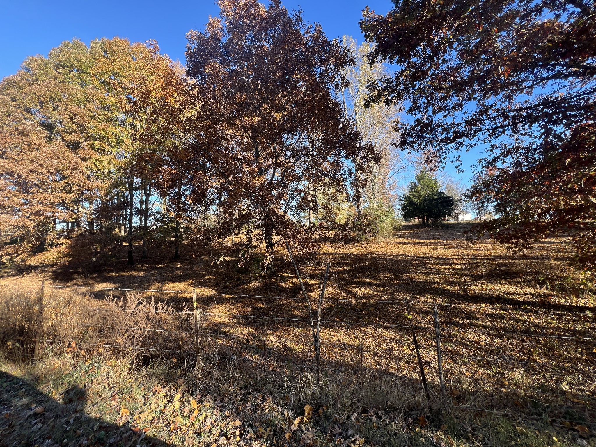 Homes for sale in Minor Hill, TN | 0 Liberty Hill Road, Minor Hill, TN 38473 | MLS# 3043513