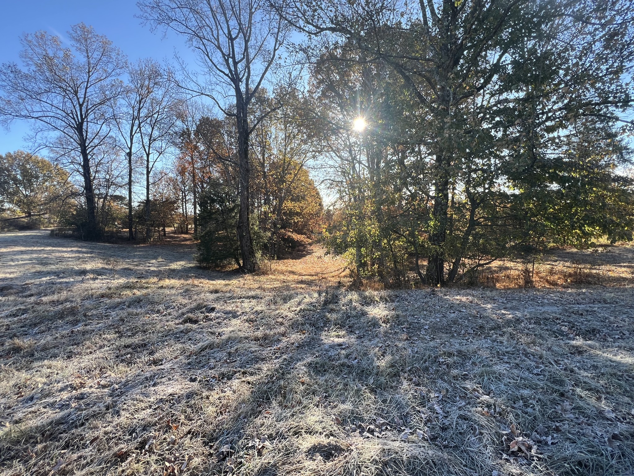 Homes for sale in Minor Hill, TN | 0 Liberty Hill Road, Minor Hill, TN 38473 | MLS# 3043513