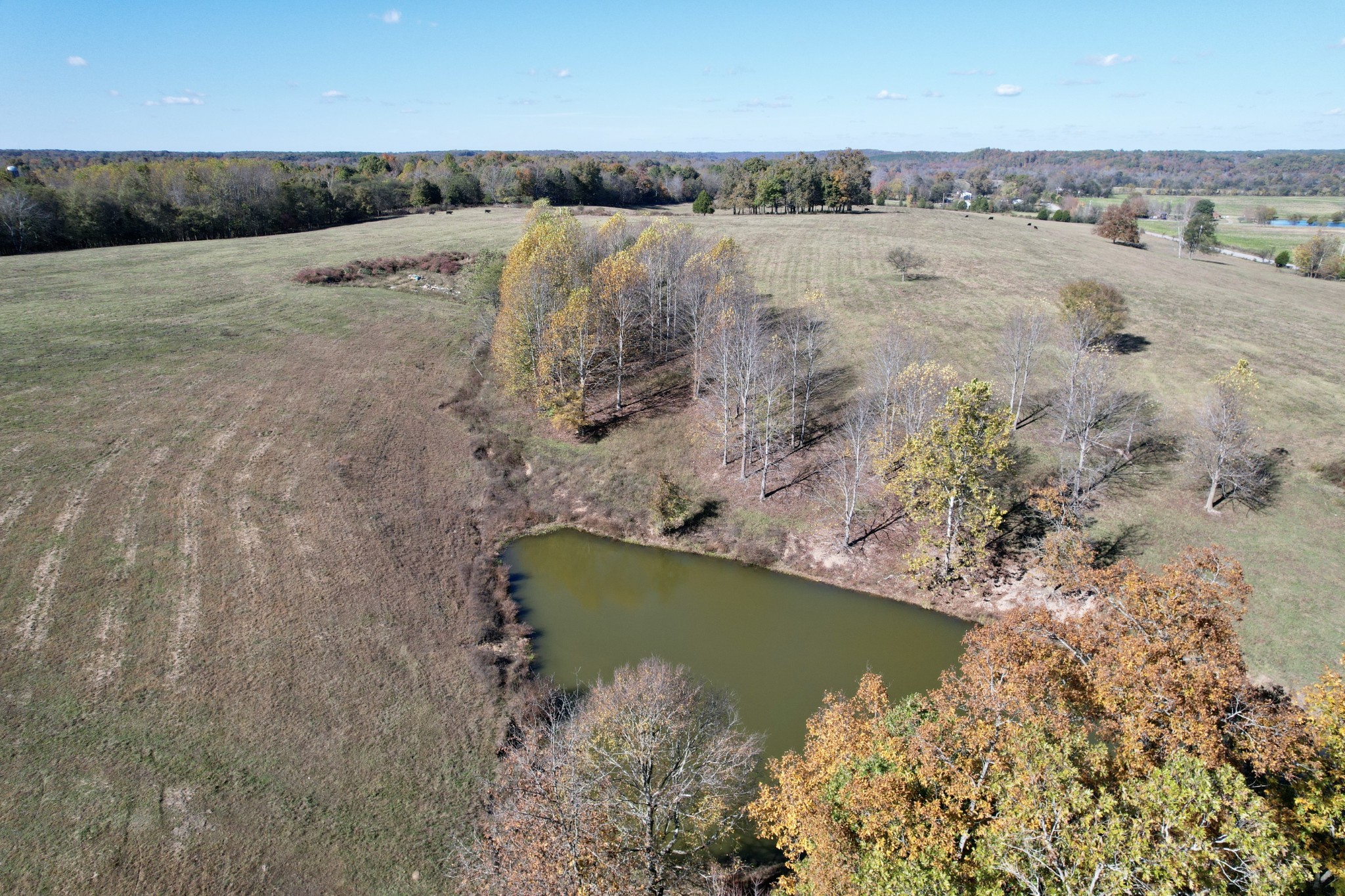 Homes for sale in Summertown, TN | 3 Henryville Rd, Summertown, TN 38483 | MLS# 3043597