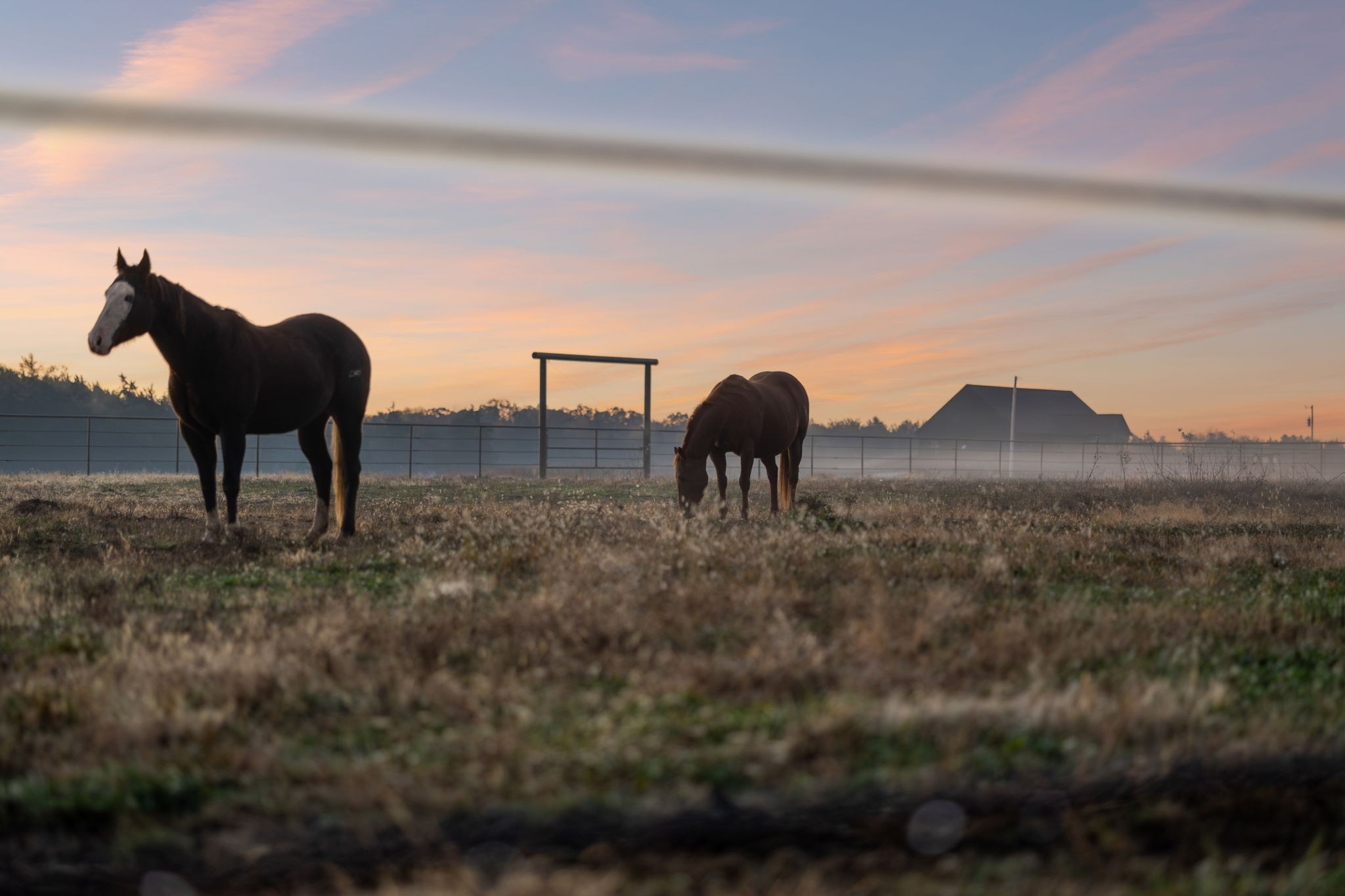 Homes for sale in Rockvale, TN | 201 Lamb Rd, Rockvale, TN 37153 | MLS# 3042456