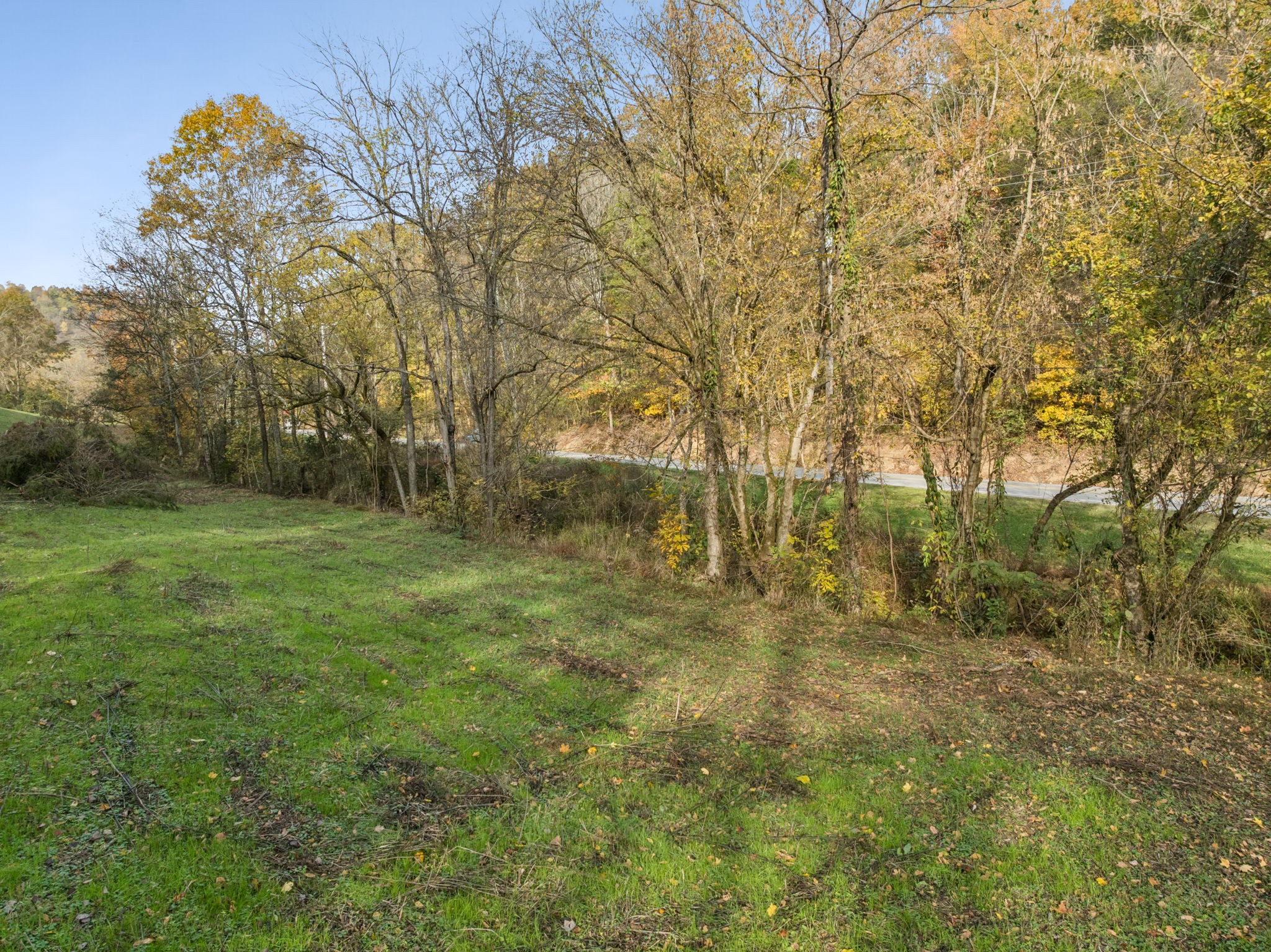 Homes for sale in Elmwood, TN | 0 Cookeville Hwy, Elmwood, TN 38560 | MLS# 3043811