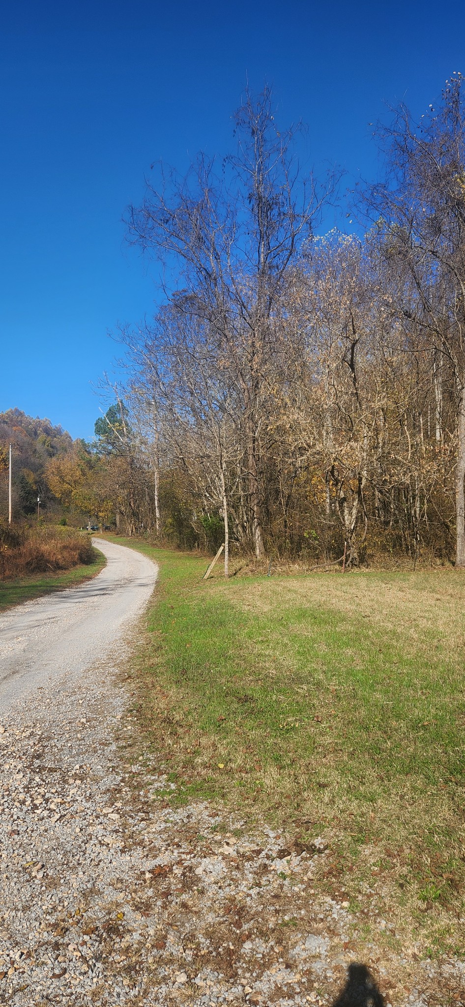 Homes for sale in Cornersville, TN | 0 Ferguson Road, Cornersville, TN 37047 | MLS# 3043375