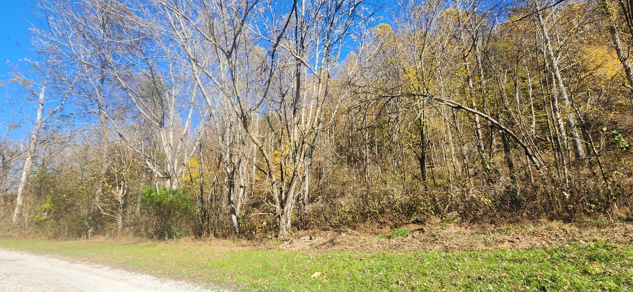 Homes for sale in Cornersville, TN | 0 Ferguson Road, Cornersville, TN 37047 | MLS# 3043375