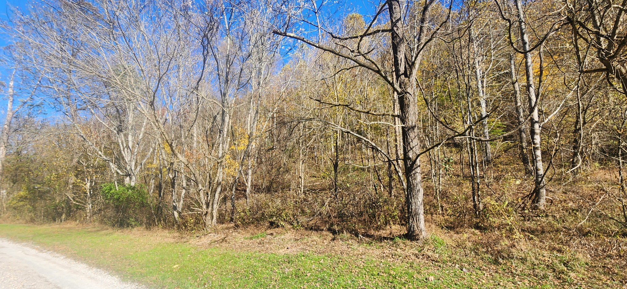 Homes for sale in Cornersville, TN | 0 Ferguson Road, Cornersville, TN 37047 | MLS# 3043375