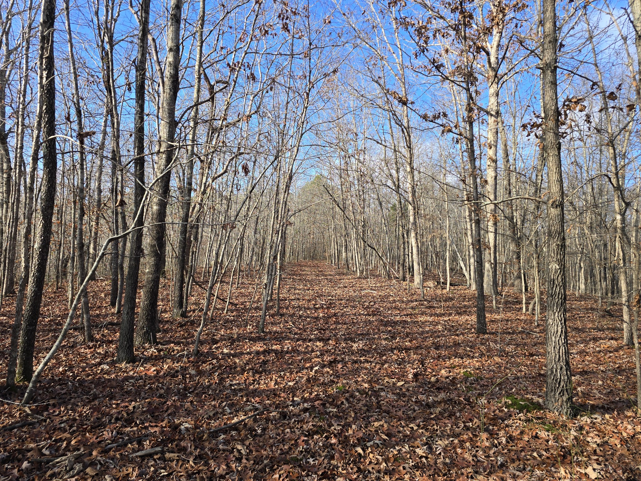 Homes for sale in Dover, TN | 601 Anglin Ridge Rd, Dover, TN 37058 | MLS# 3051029