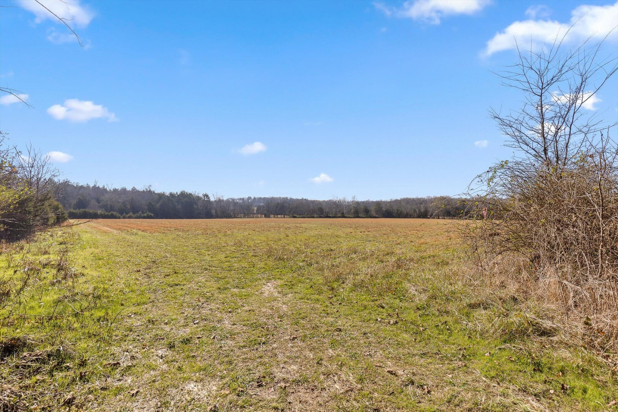 Homes for sale in Chickamauga, GA | 0 Brock Road, Chickamauga, GA 30707 | MLS# 3058561