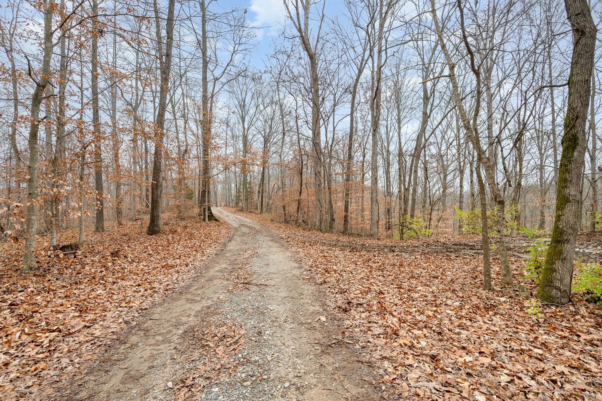 Homes for sale in Pegram, TN | 0 Anderson Rd, Pegram, TN 37143 | MLS# 3059045