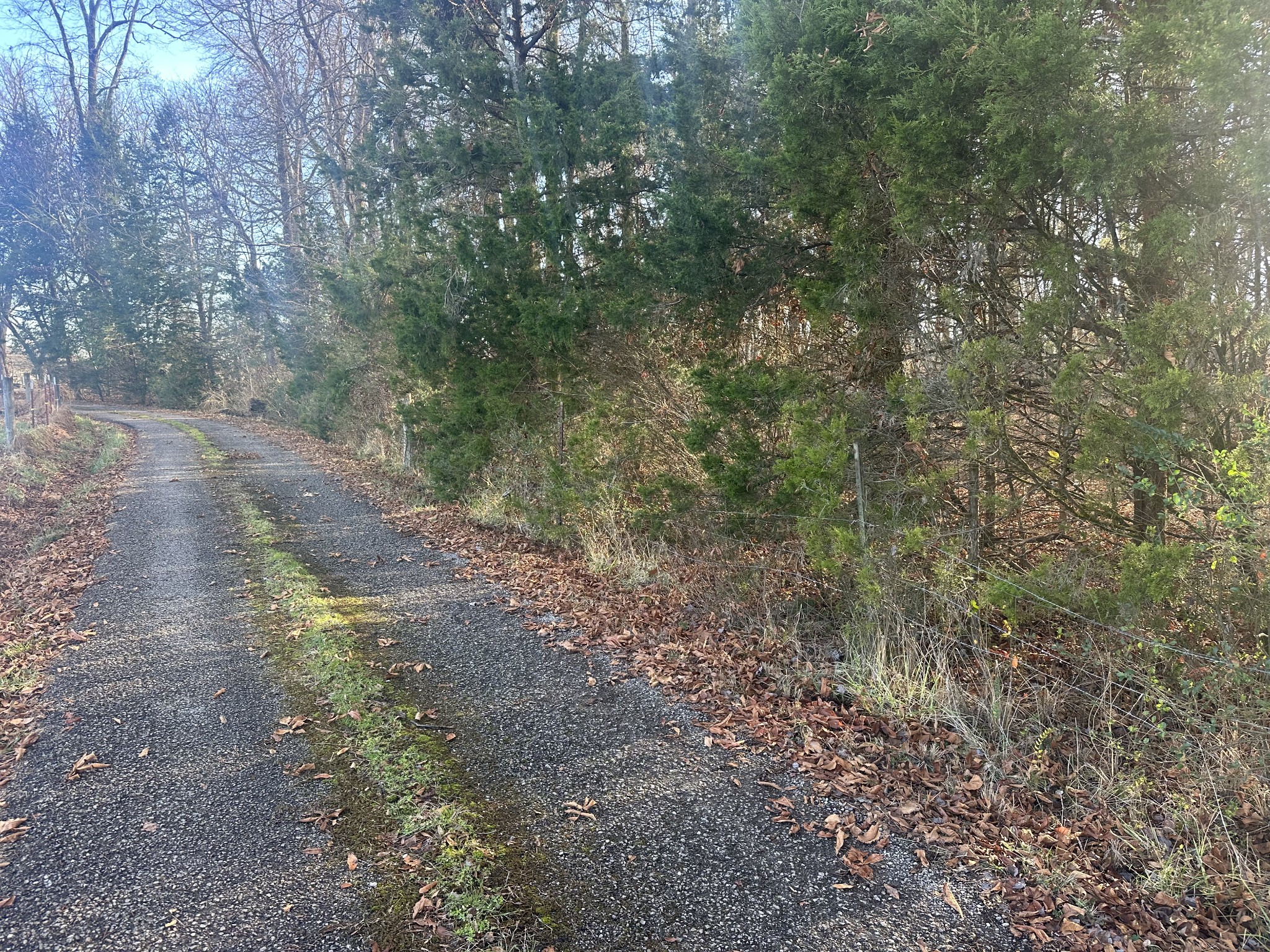 Homes for sale in Silver Point, TN | 0 Arnold Thomas Rd, Silver Point, TN 38582 | MLS# 3067450