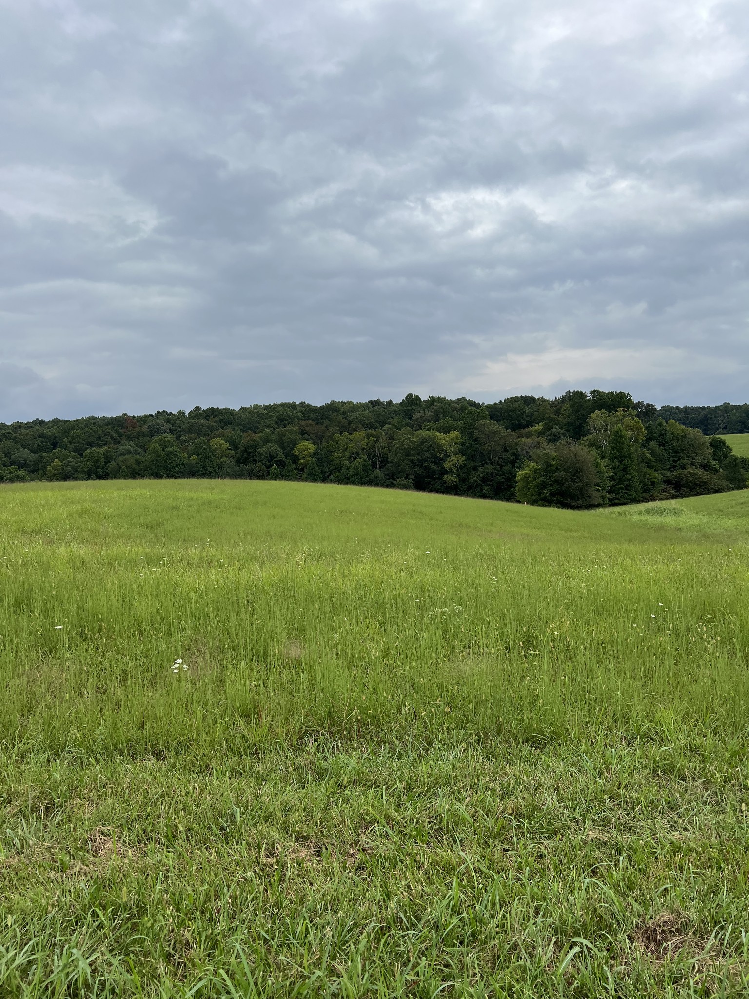 Homes for sale in Red Boiling Springs, TN | 9 Hwy 52, Red Boiling Springs, TN 37150 | MLS# 3067700