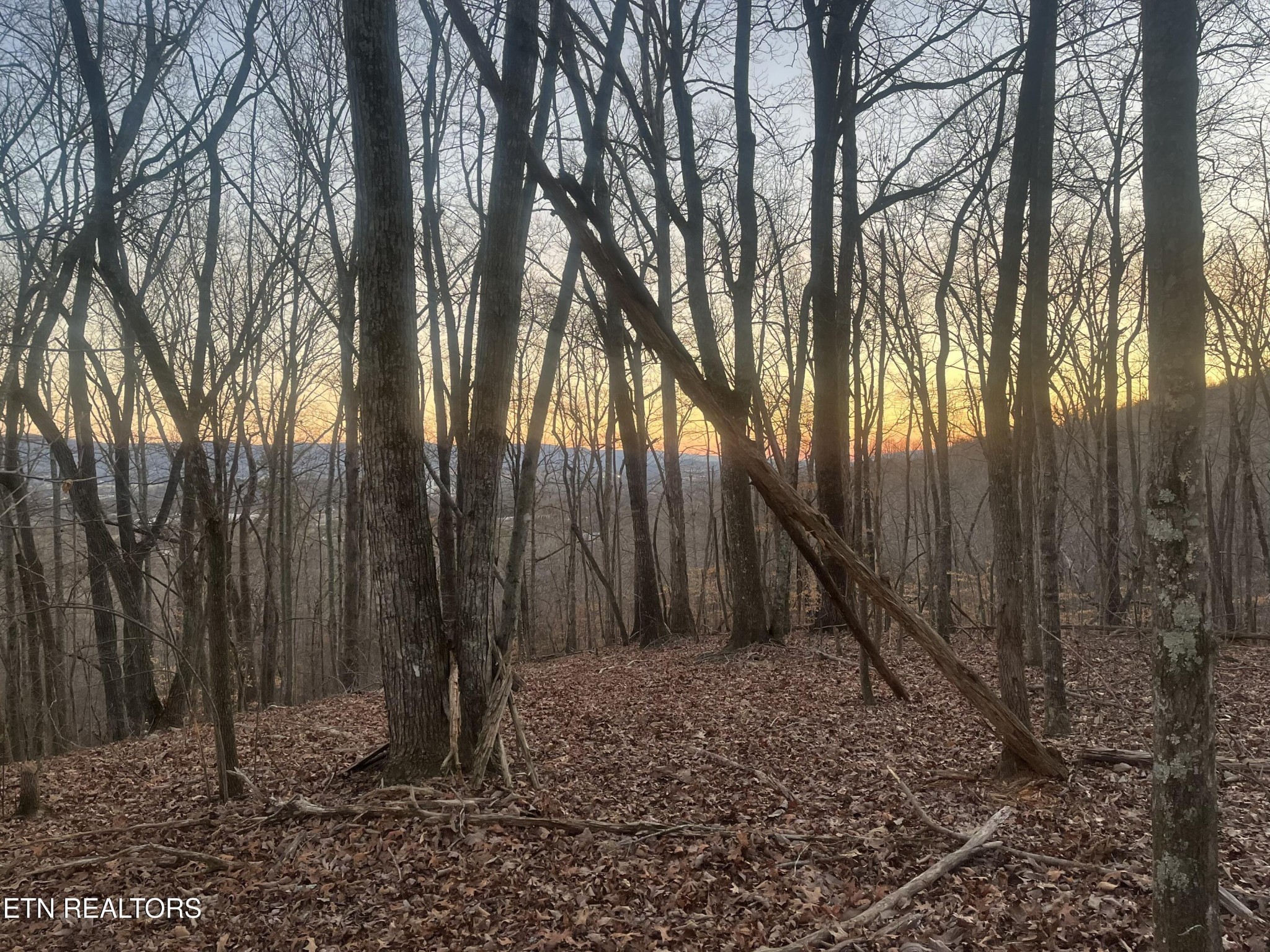 Homes for sale in Pikeville, TN | 0 Old Spencer Road - 200 Acres, Pikeville, TN 37367 | MLS# 3069877