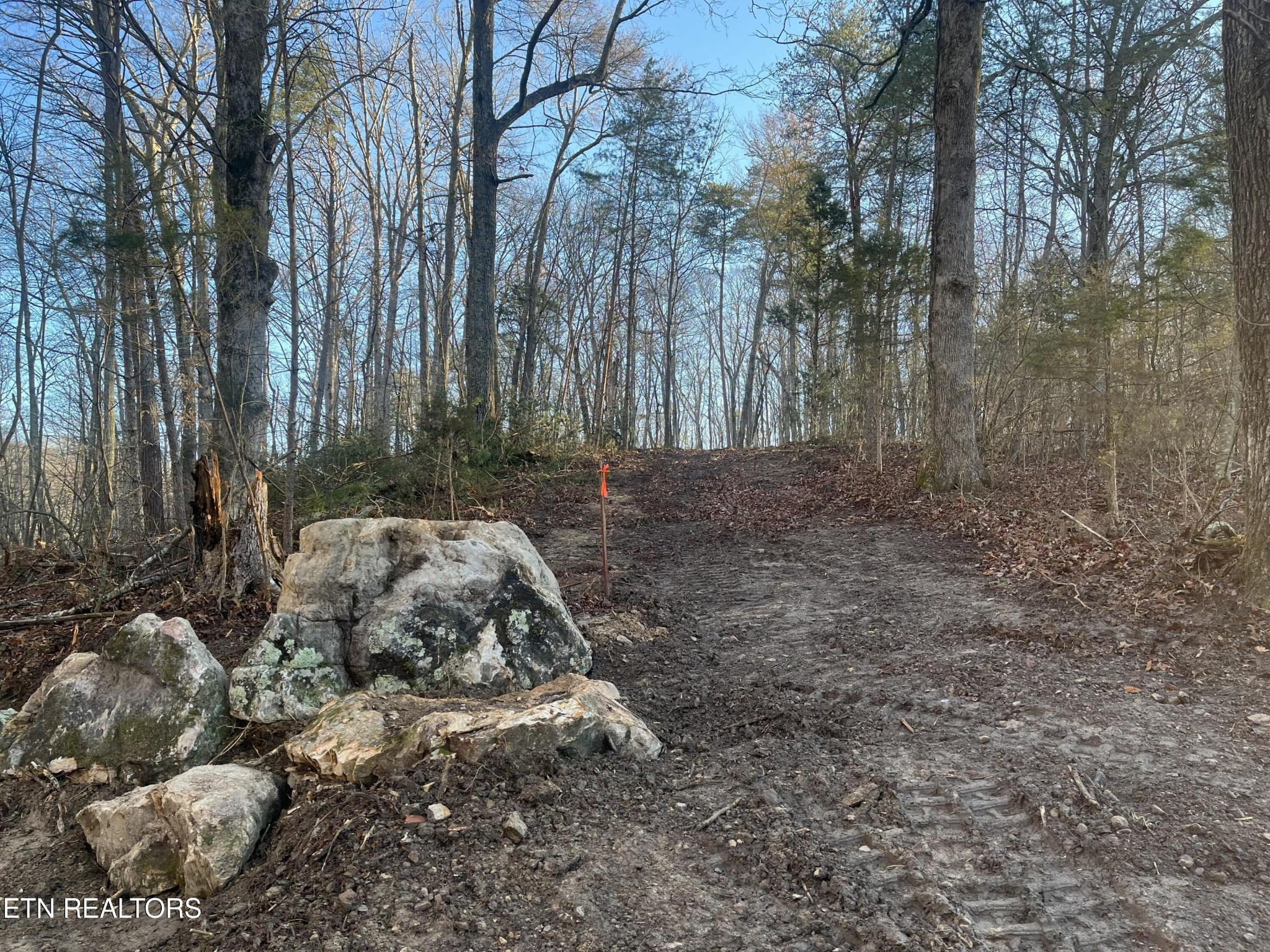 Homes for sale in Pikeville, TN | 0 Old Spencer Road - 200 Acres, Pikeville, TN 37367 | MLS# 3069877