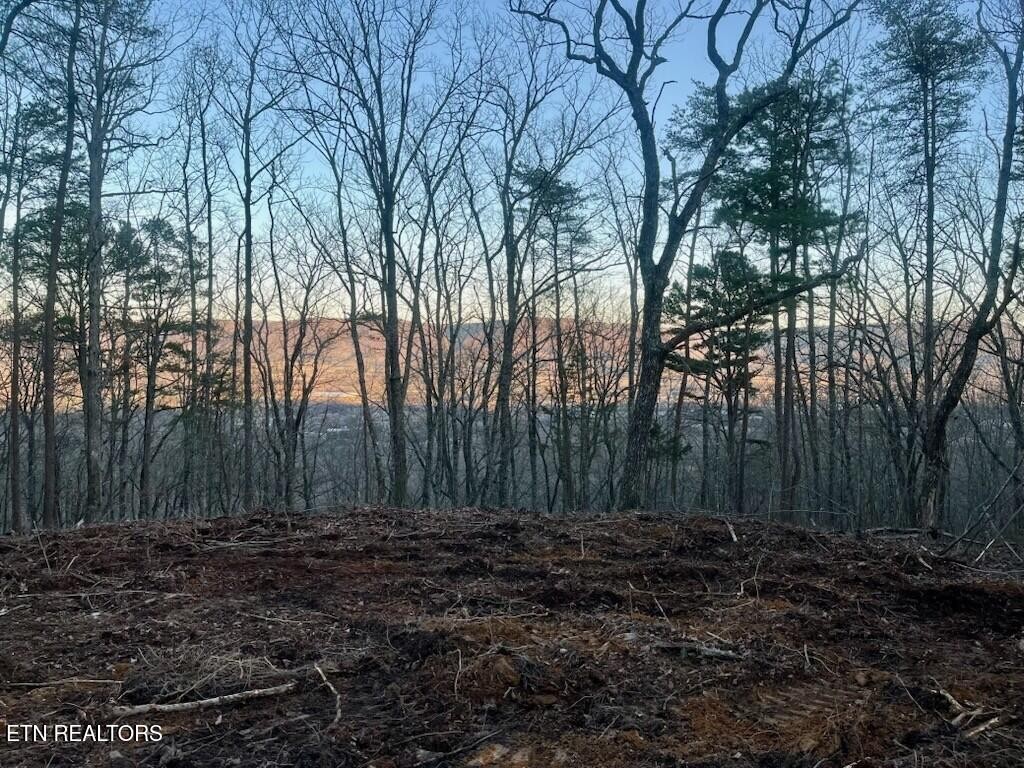 Homes for sale in Pikeville, TN | 0 Old Spencer Road - 200 Acres, Pikeville, TN 37367 | MLS# 3069877