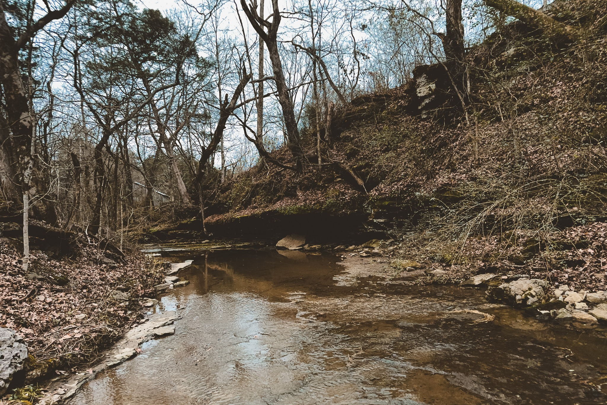 Homes for sale in Alexandria, TN | 6680 Walker Creek Rd, Alexandria, TN 37012 | MLS# 3071790