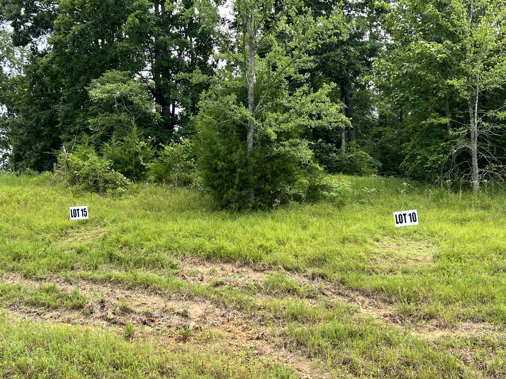 Homes for sale in Santa Fe, TN | 0 Hwy 7, Santa Fe, TN 38482 | MLS# 3073253