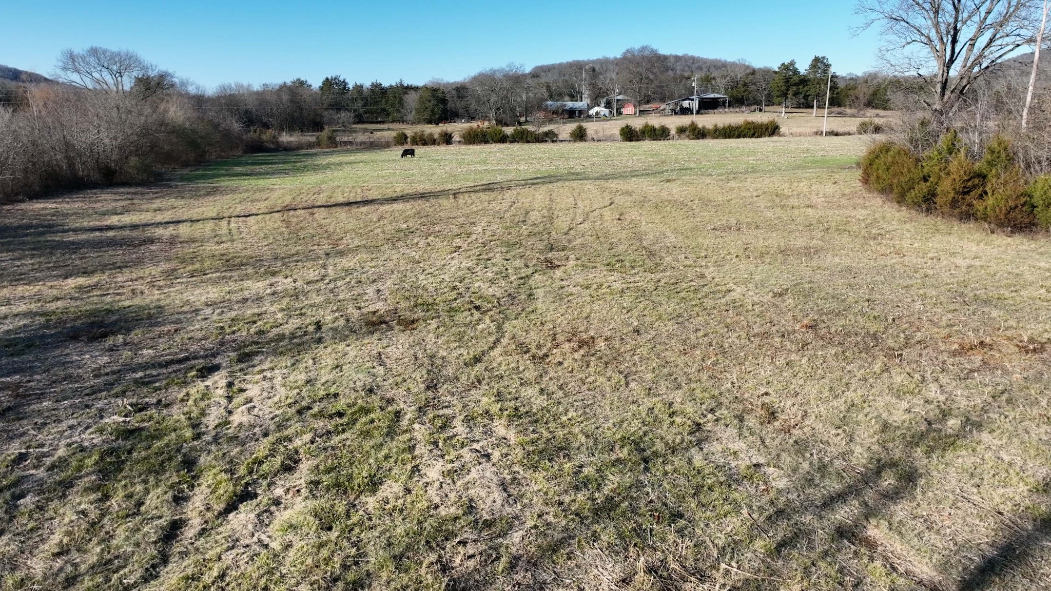 Homes for sale in Lascassas, TN | 10914 Oregon Rd, Lascassas, TN 37085 | MLS# 3117341