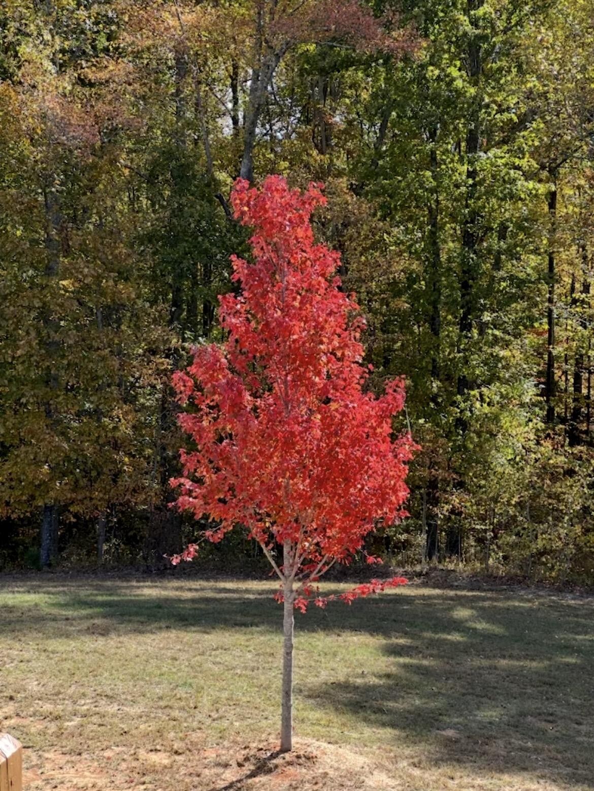 Homes for sale in Jasper, TN | 636 Raulston Falls Road #Jh-132, Jasper, TN 37347 | MLS# 3083946