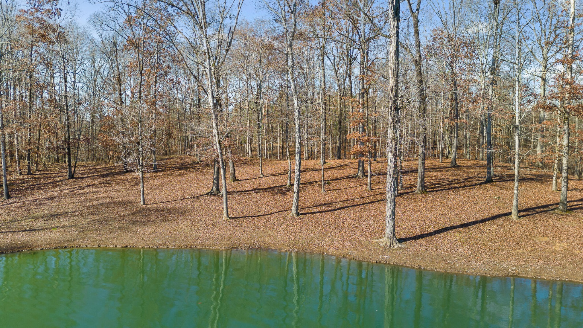 Homes for sale in Cleveland, TN | 159 Litchfield Lane, Cleveland, TN 37312 | MLS# 3116022