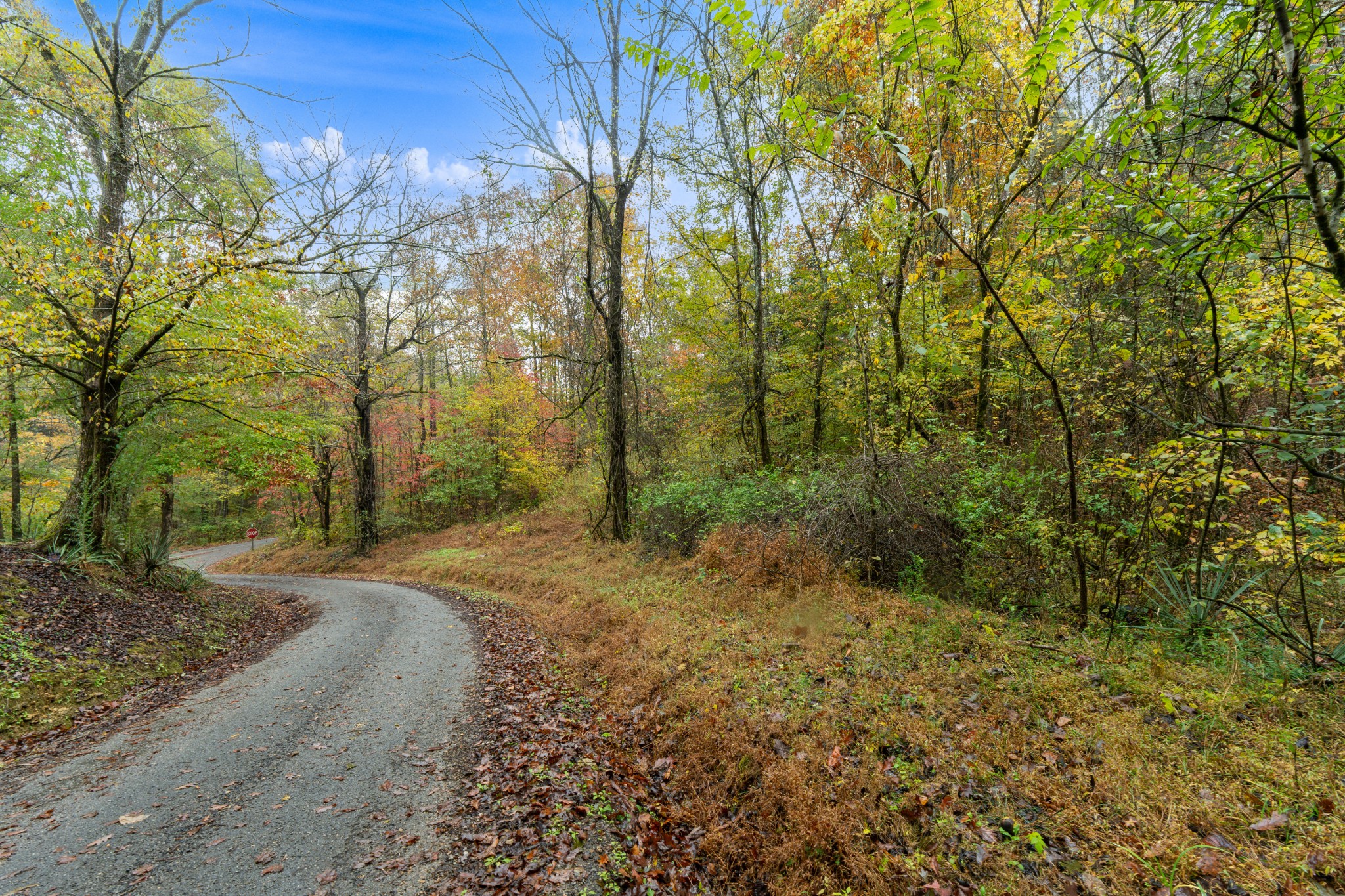 Homes for sale in Iron City, TN | 0 Ducktown Road, Iron City, TN 38463 | MLS# 3117220