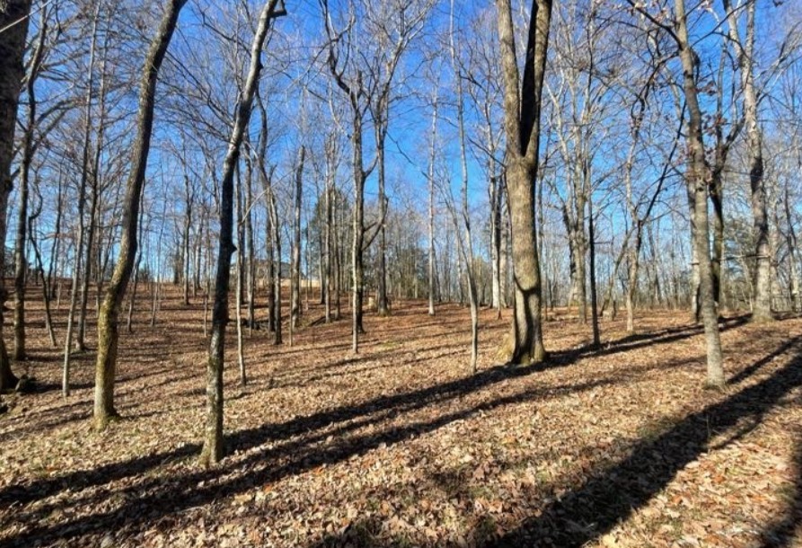 Homes for sale in Hermitage, TN | 1875 Bakers Grove Rd, Hermitage, TN 37076 | MLS# 3154678