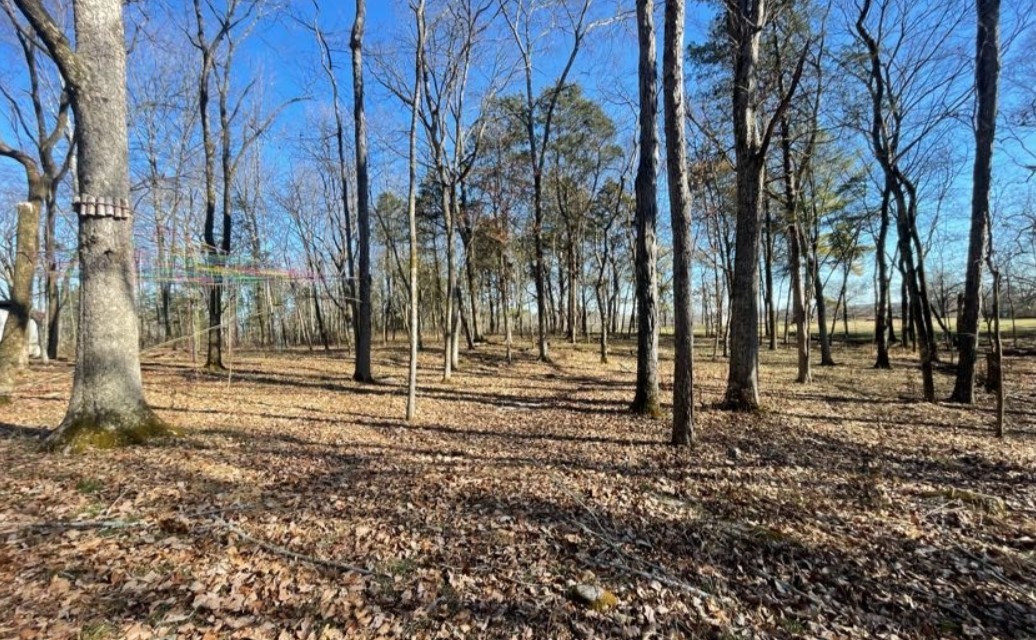 Homes for sale in Hermitage, TN | 1875 Bakers Grove Rd, Hermitage, TN 37076 | MLS# 3154678