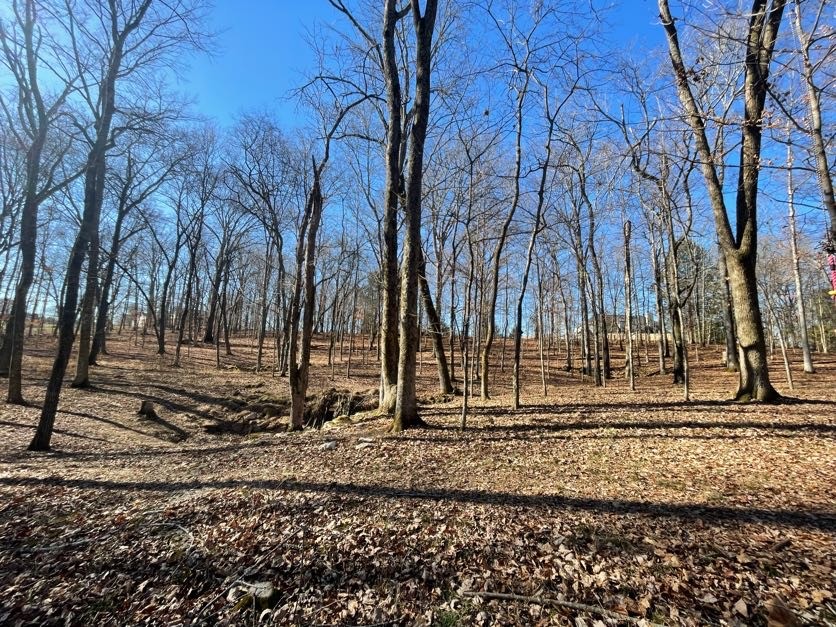 Homes for sale in Hermitage, TN | 1875 Bakers Grove Rd, Hermitage, TN 37076 | MLS# 3154678