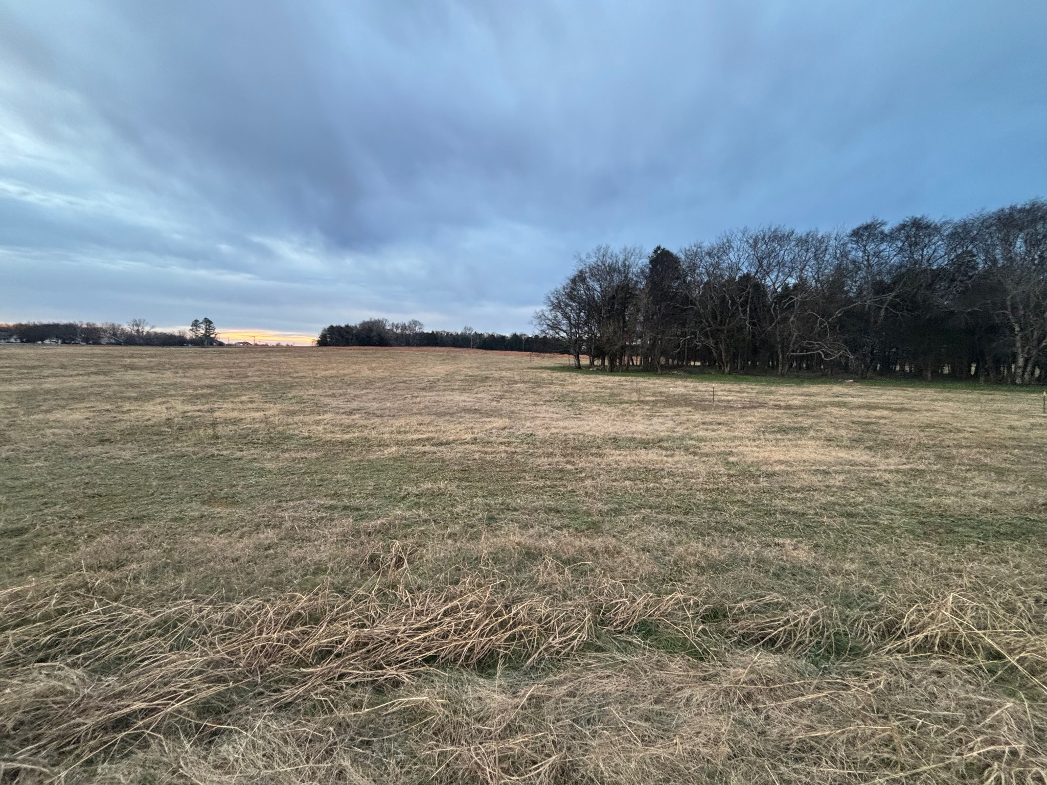 Homes for sale in Lewisburg, TN | 0 Powell Ln, Lewisburg, TN 37091 | MLS# 3118851