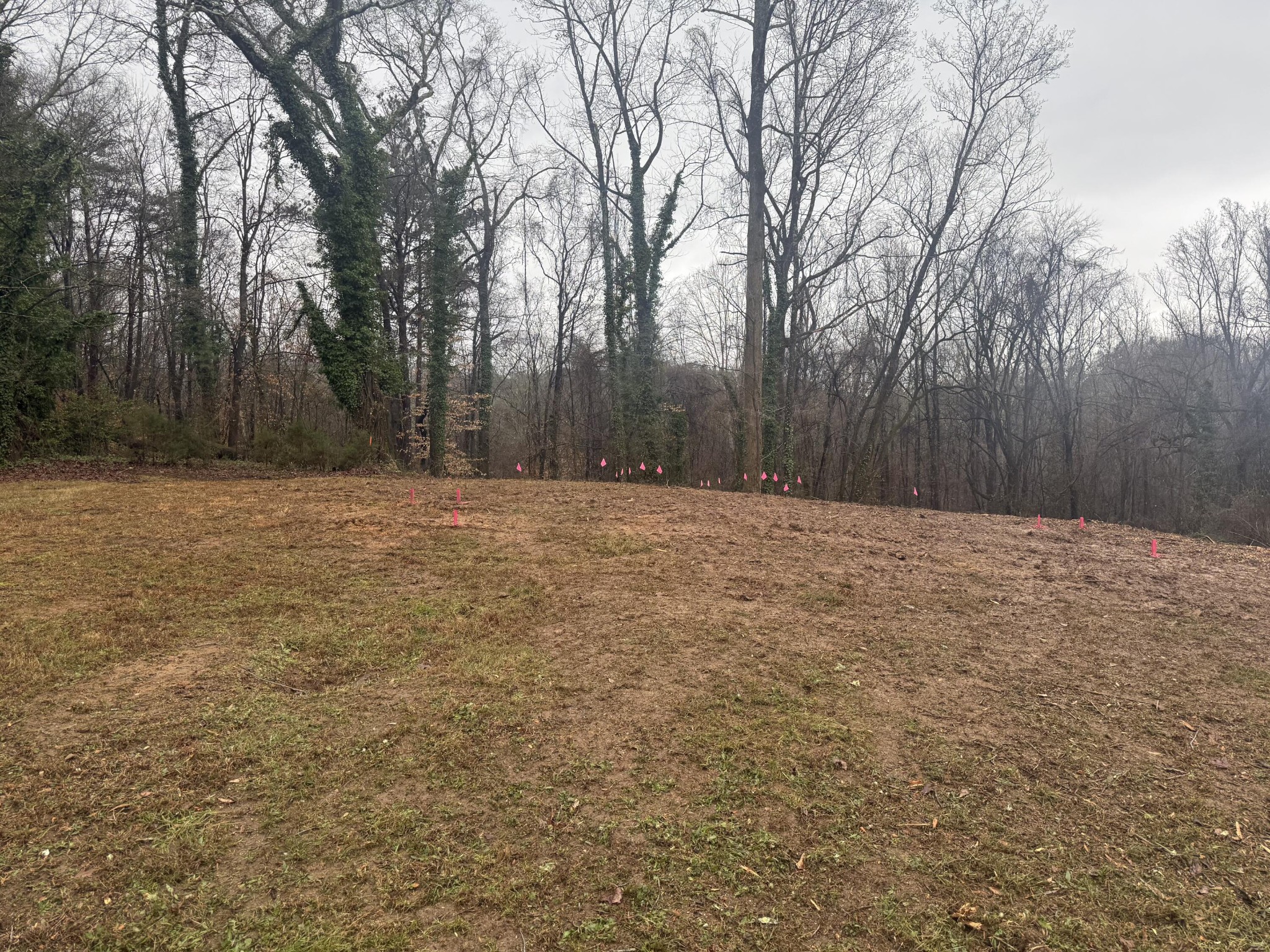 Homes for sale in Chattanooga, TN | 5412 Dorsey Street, Chattanooga, TN 37410 | MLS# 3152930