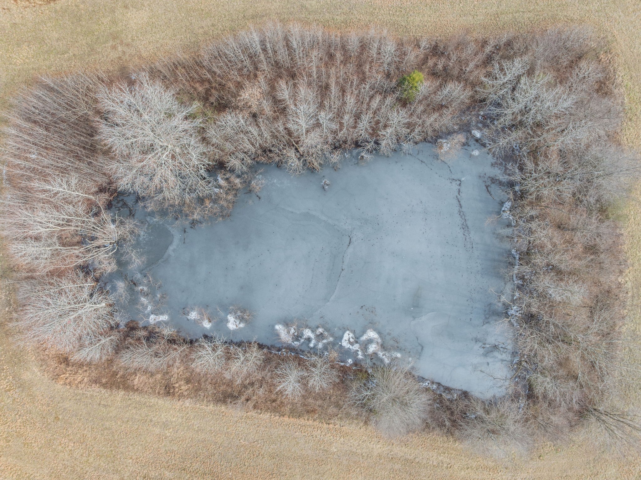 Homes for sale in Iron City, TN | 10 Acres Chisholm Rd, Iron City, TN 38463 | MLS# 3120421