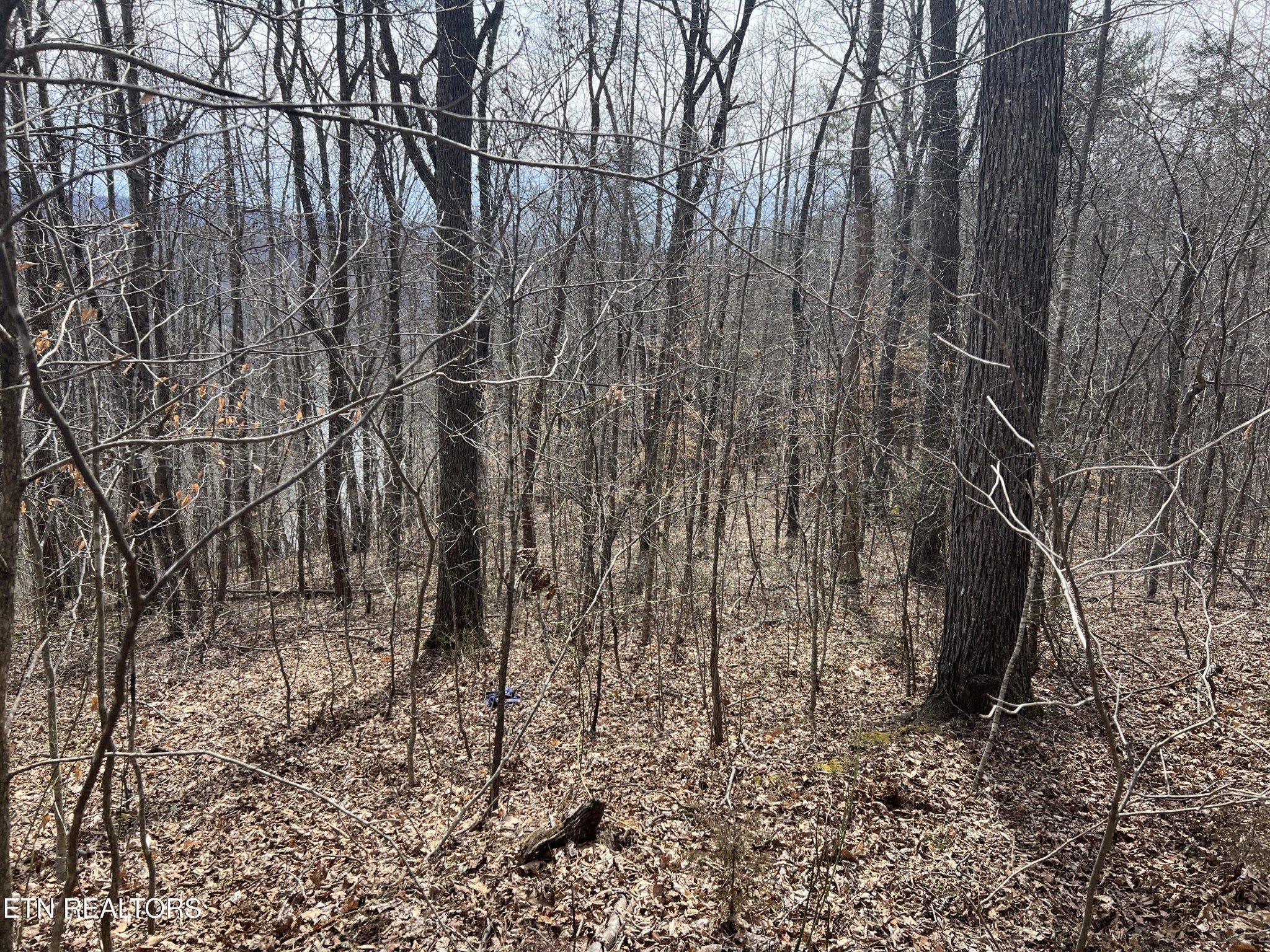 Homes for sale in Tazewell, TN | 0 Jackson Ridge Rd, Tazewell, TN 37879 | MLS# 3306009