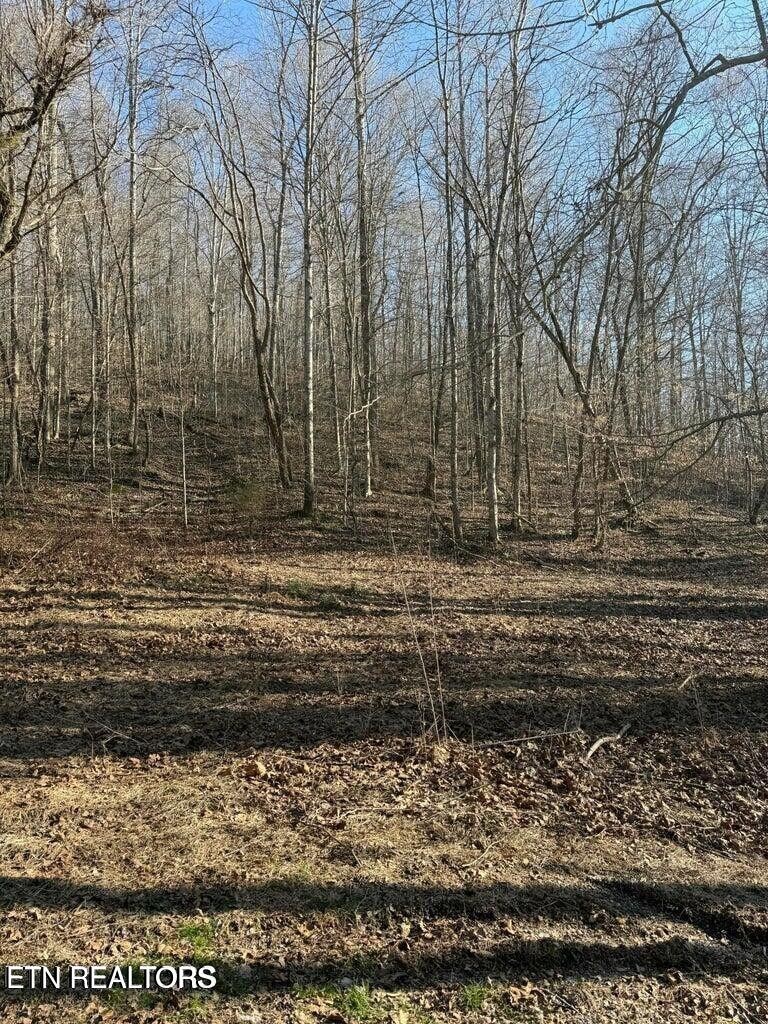 Homes for sale in Tazewell, TN | 0 Jackson Ridge Rd, Tazewell, TN 37879 | MLS# 3306009
